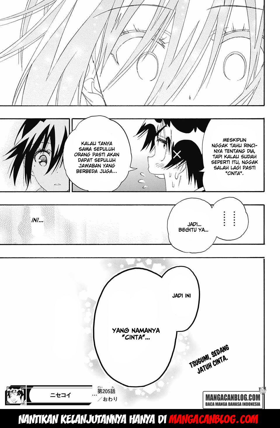 Nisekoi Chapter 205 Gambar 19