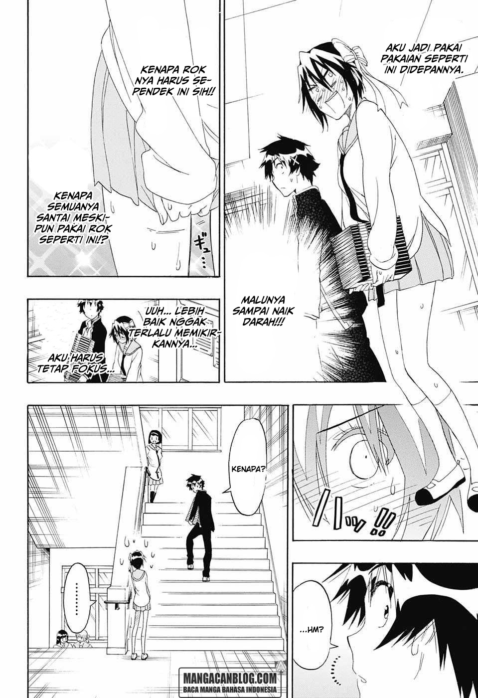 Nisekoi Chapter 205 Gambar 6