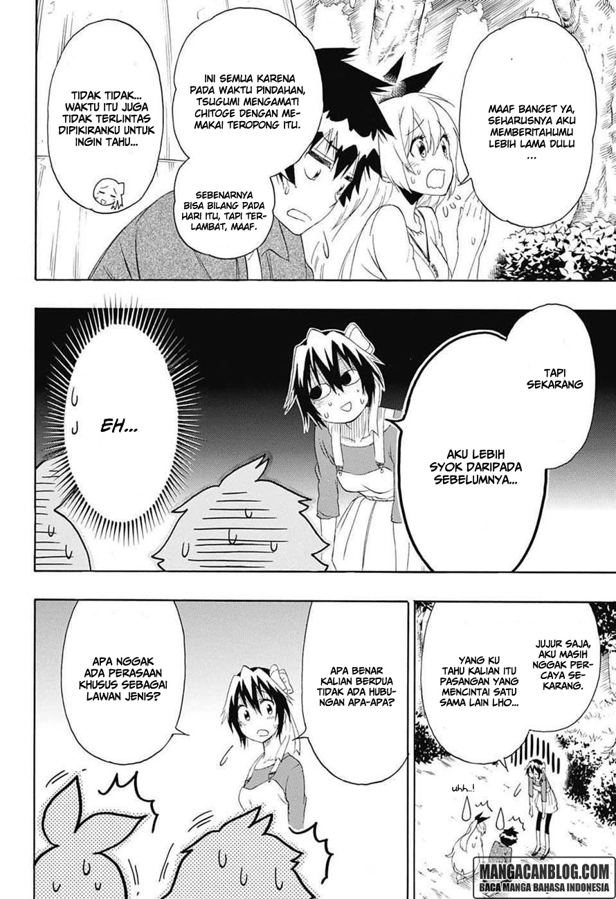 Nisekoi Chapter 204 Gambar 15