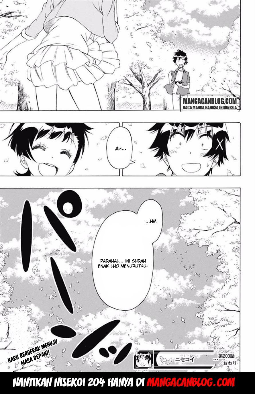 Nisekoi Chapter 203 Gambar 20