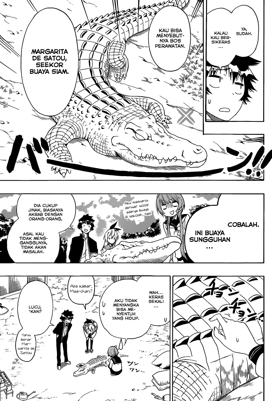 Nisekoi Chapter 142 Gambar 11