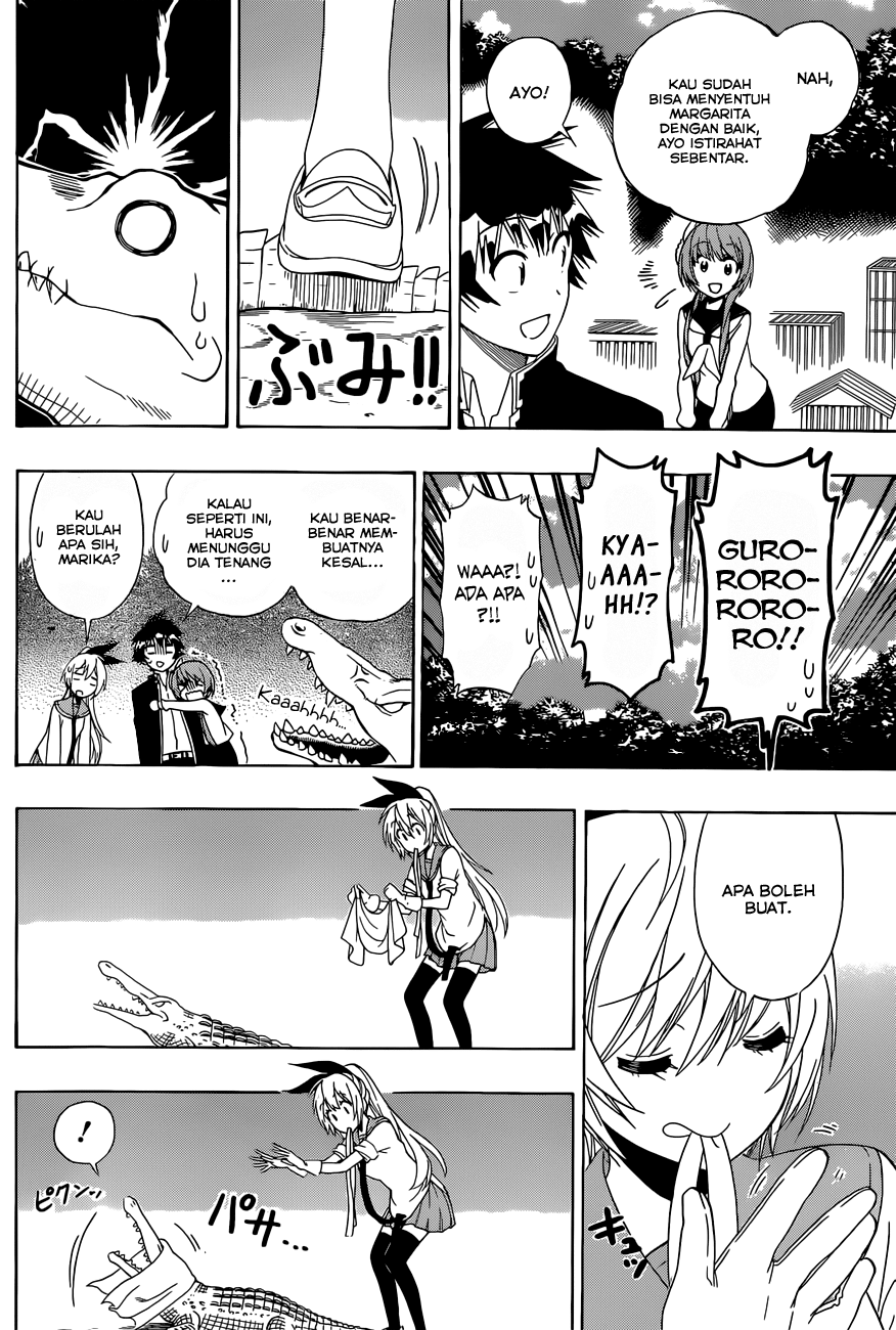 Nisekoi Chapter 142 Gambar 12