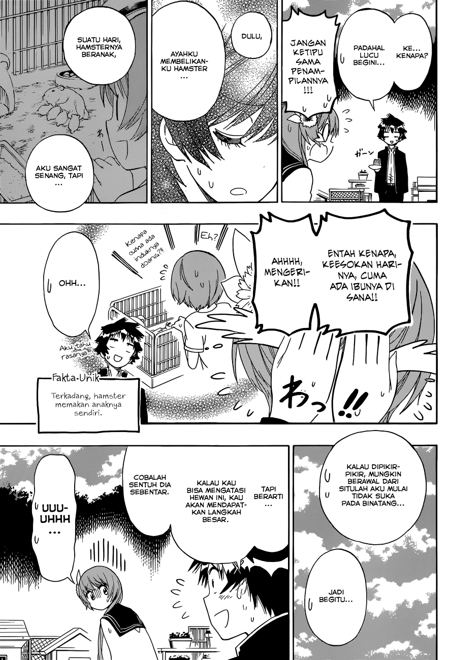 Nisekoi Chapter 142 Gambar 15