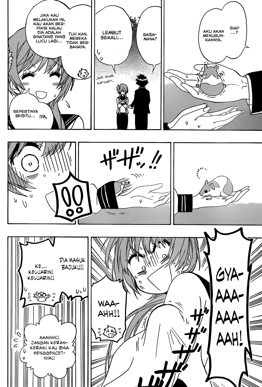 Nisekoi Chapter 142 Gambar 16