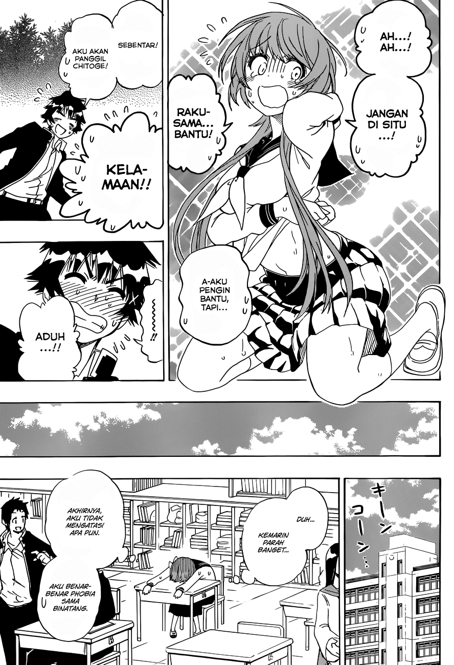 Nisekoi Chapter 142 Gambar 17