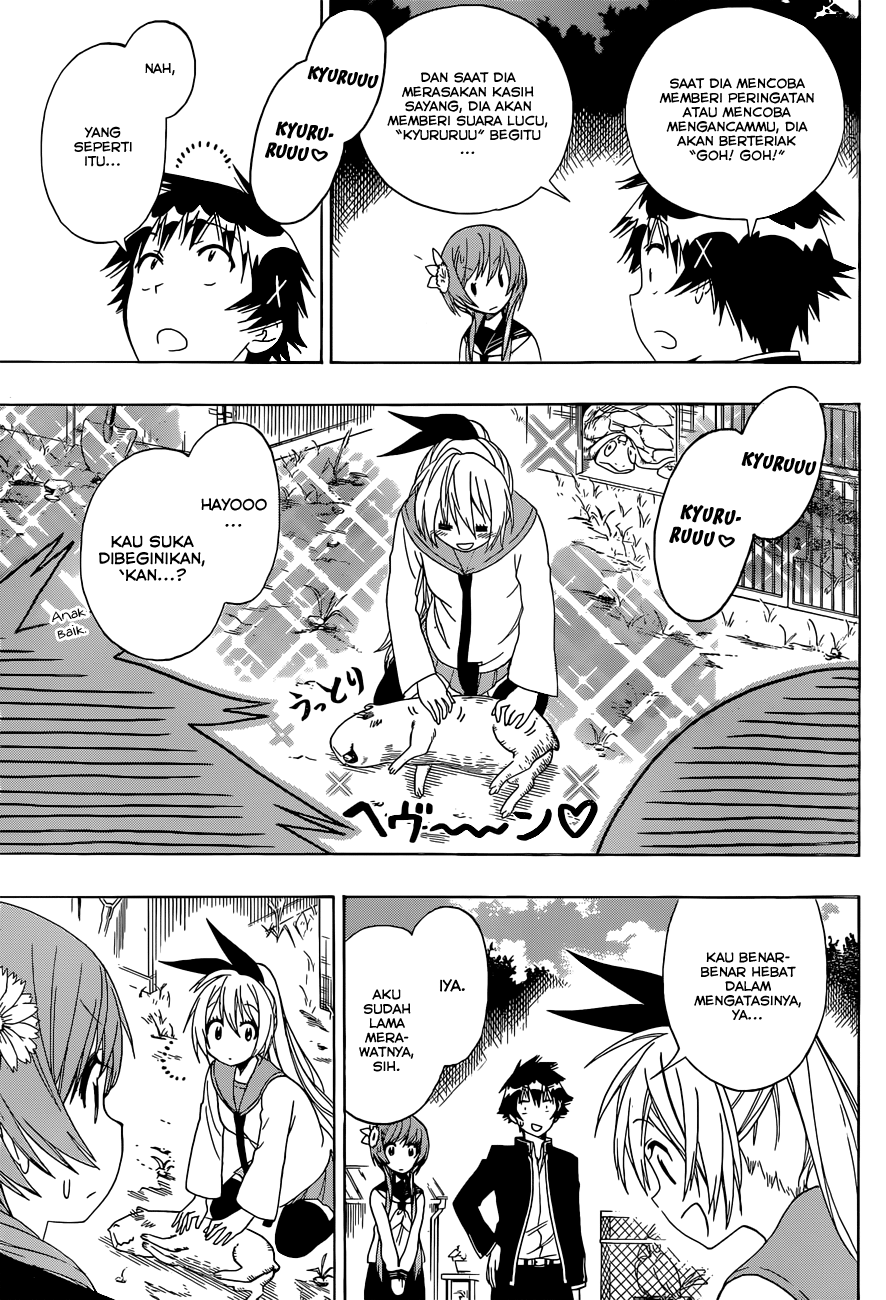 Nisekoi Chapter 142 Gambar 7