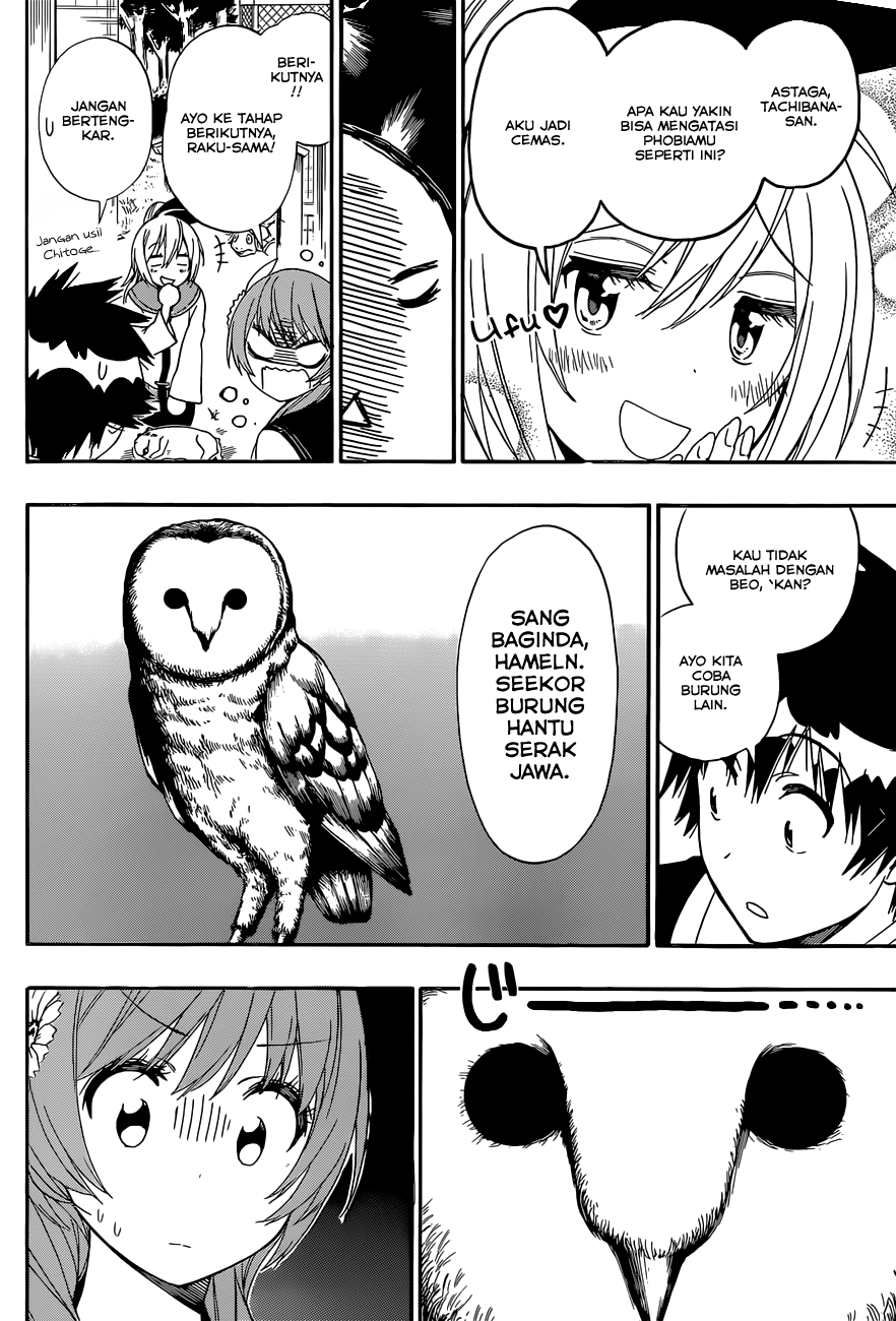 Nisekoi Chapter 142 Gambar 8