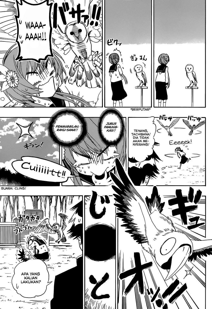 Nisekoi Chapter 142 Gambar 9