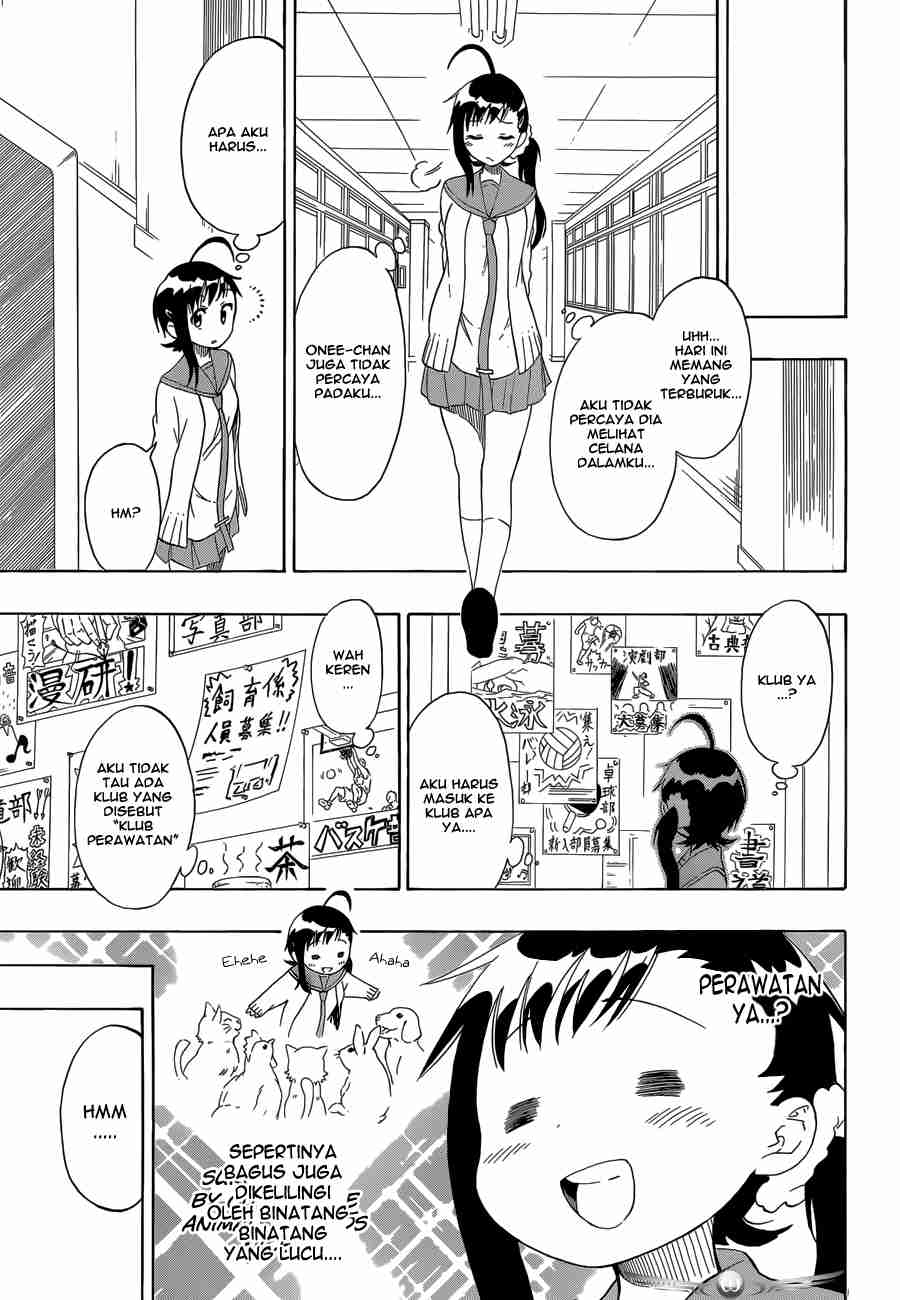 Nisekoi Chapter 76 Gambar 15