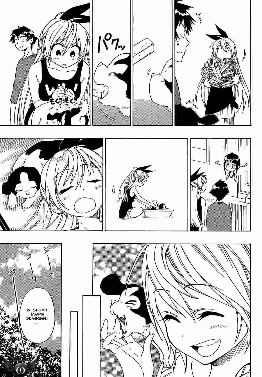 Nisekoi Chapter 41 Gambar 14