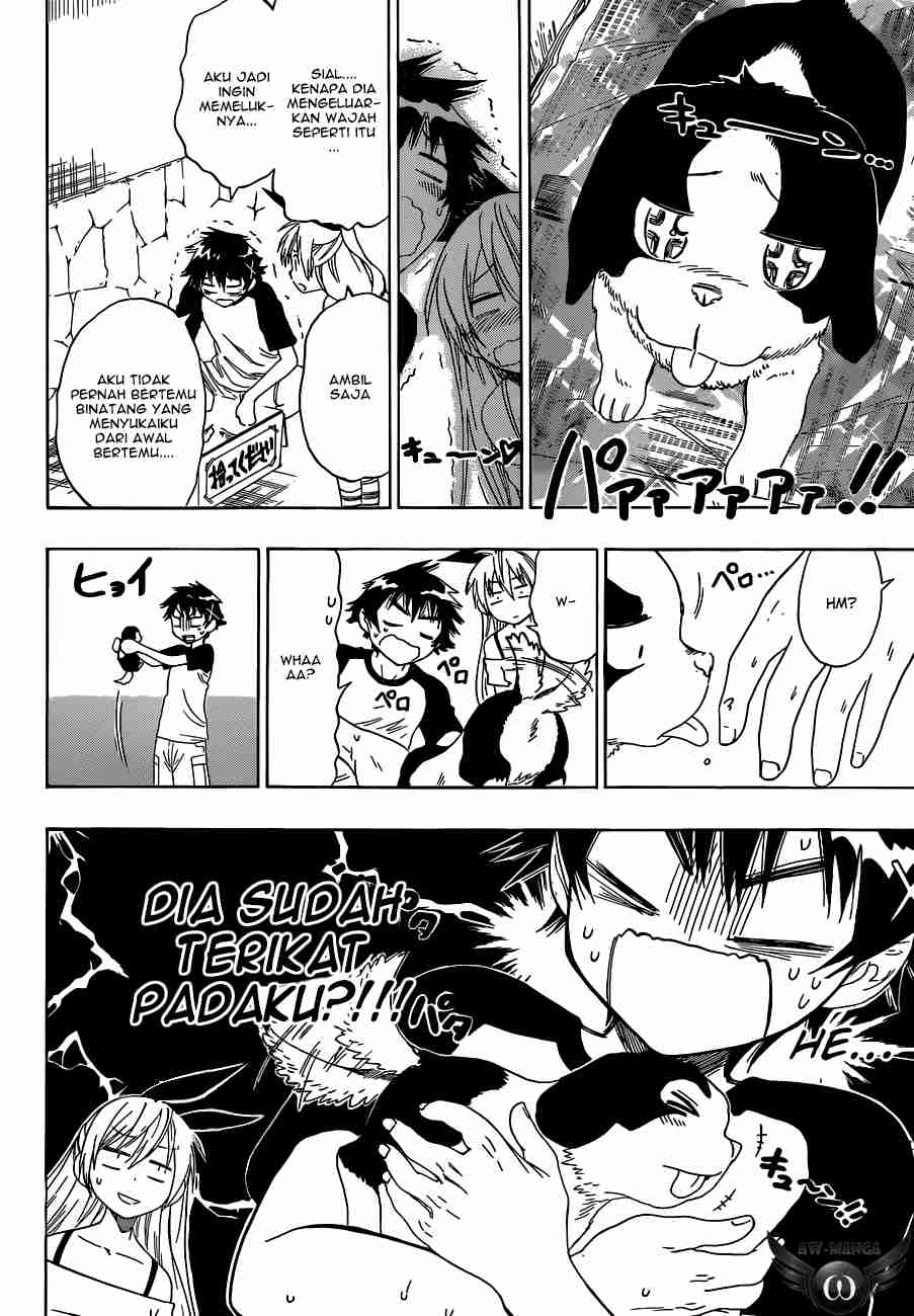 Nisekoi Chapter 41 Gambar 5