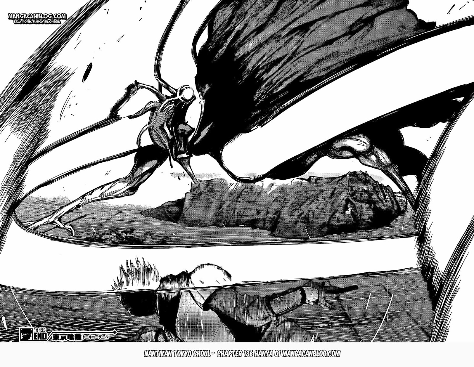 Tokyo Ghoul Chapter 135 Gambar 16