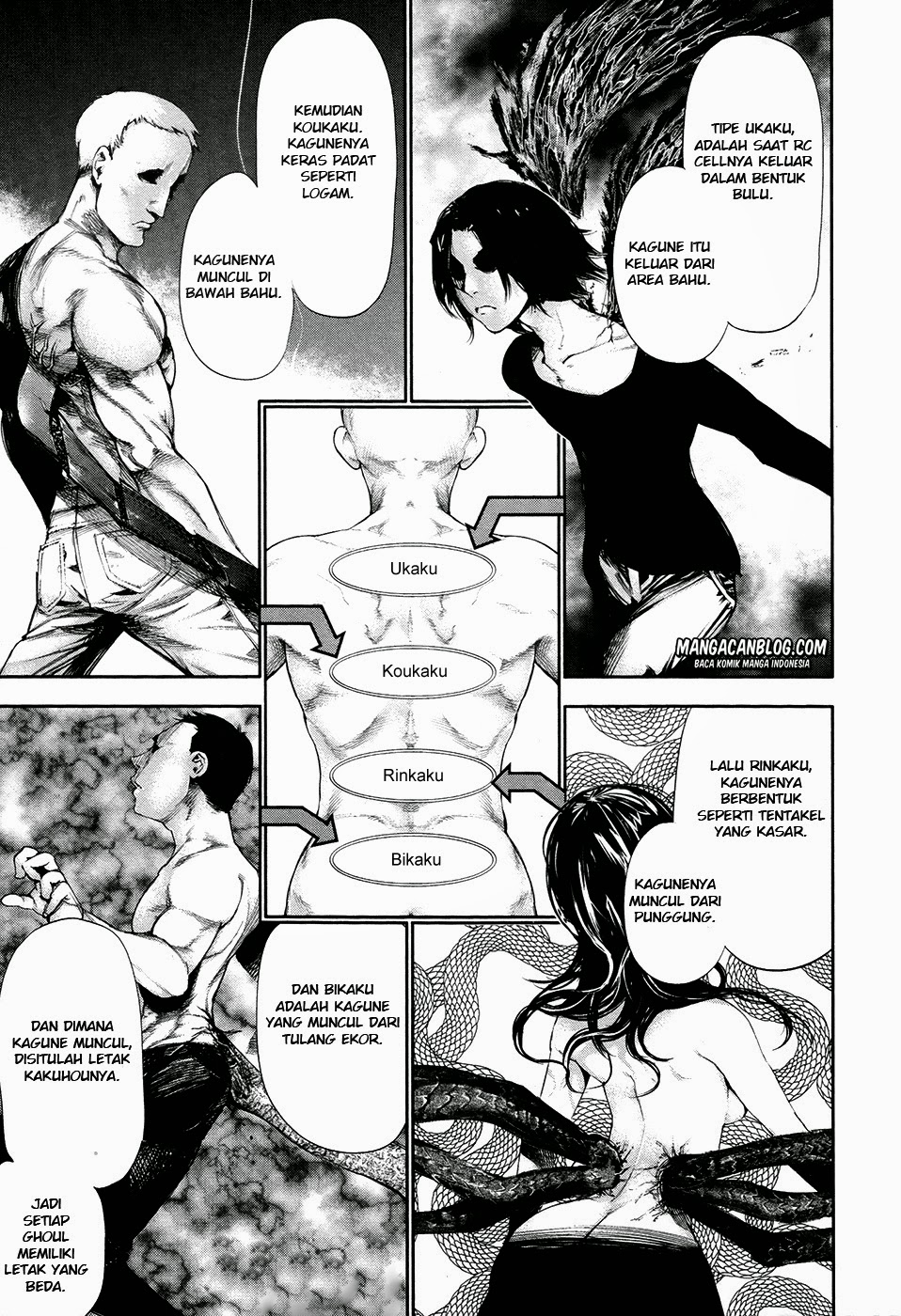 Tokyo Ghoul Chapter 53 Gambar 11