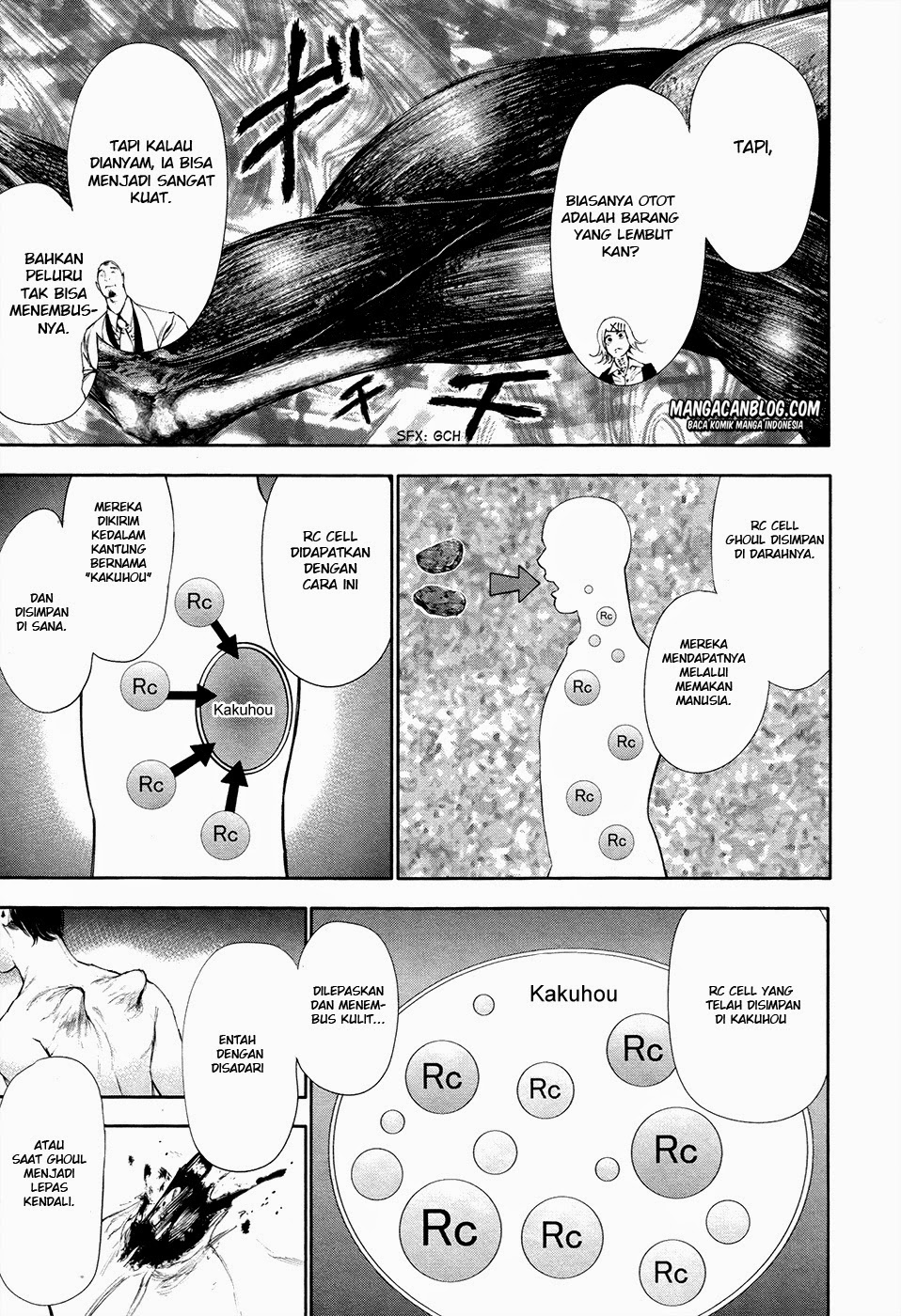Tokyo Ghoul Chapter 53 Gambar 9