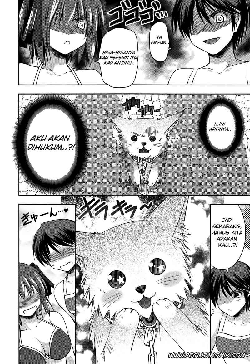 Perowan! Hayashinasai! Goshujinsama Chapter 10 Gambar 4