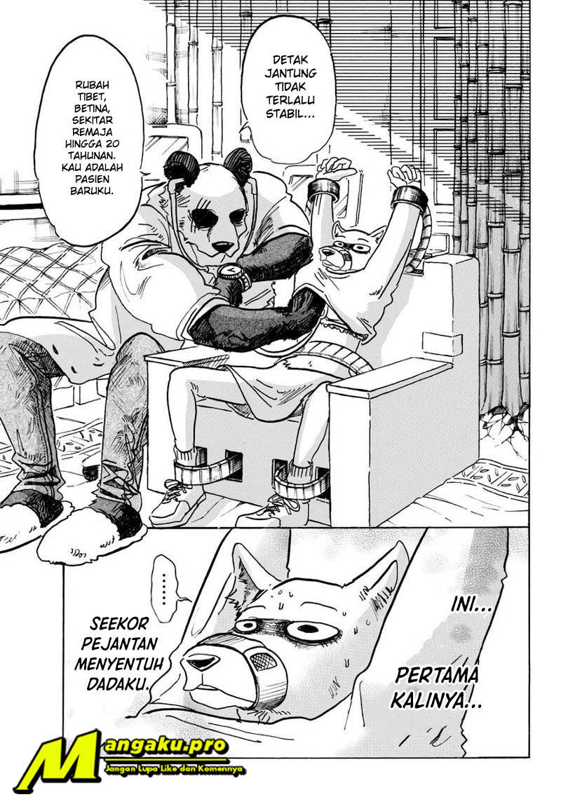 Beastars Chapter 86 Gambar 4