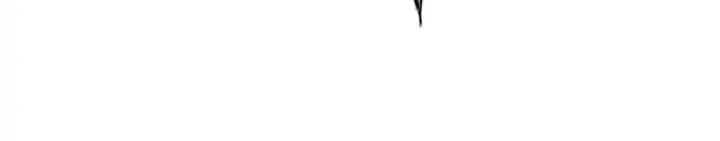 Supernova Chapter 11 Gambar 394