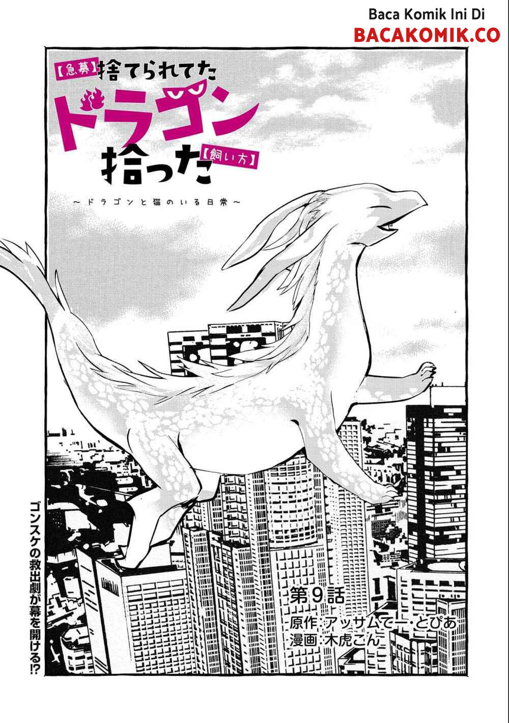 Baca Manga Kyuubo: Suterareteta Dragon Hirotta Chapter 09 Gambar 2