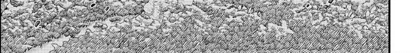 Eden's Zero Chapter 127 Gambar 9