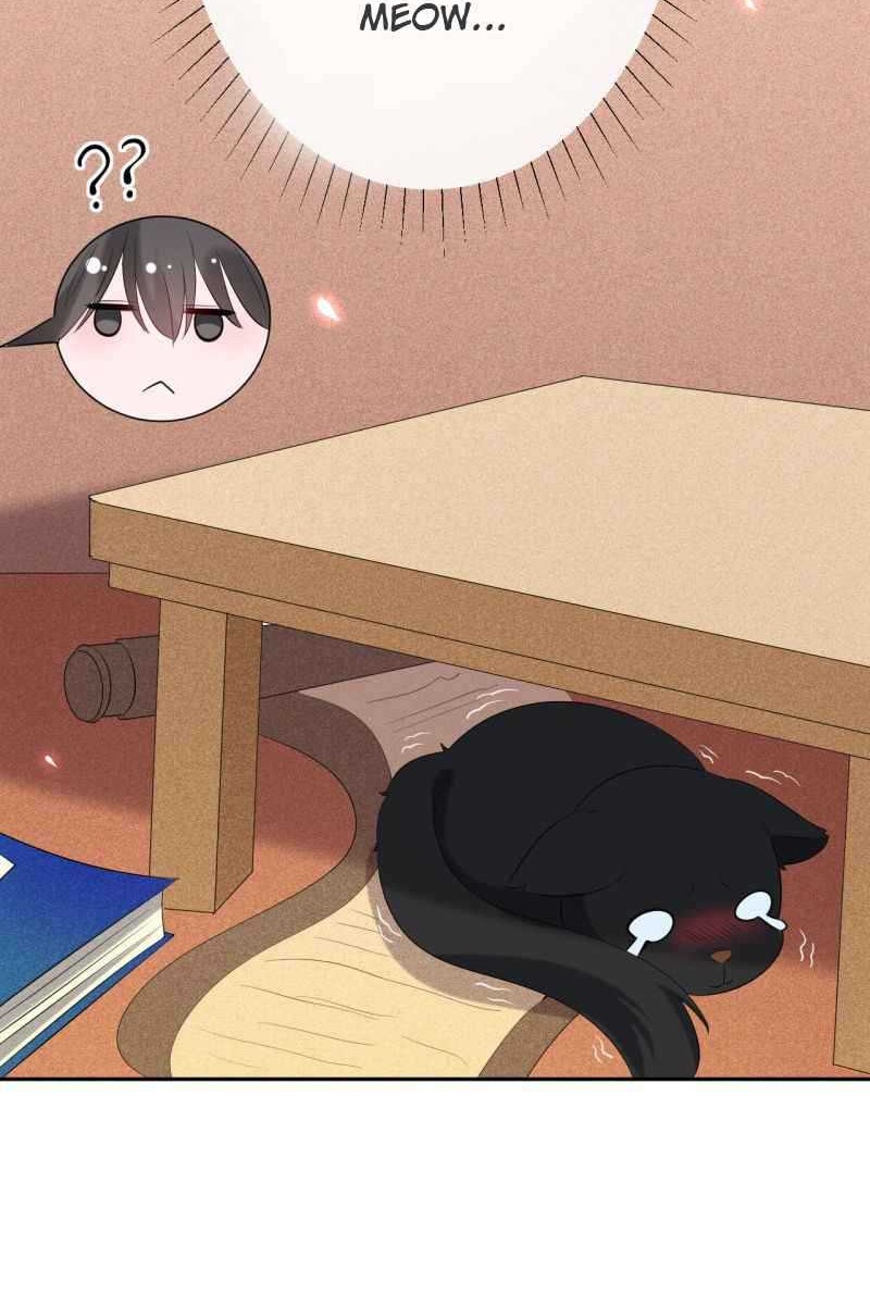 Genius Doctor: Black Belly Miss Chapter 7 Gambar 27