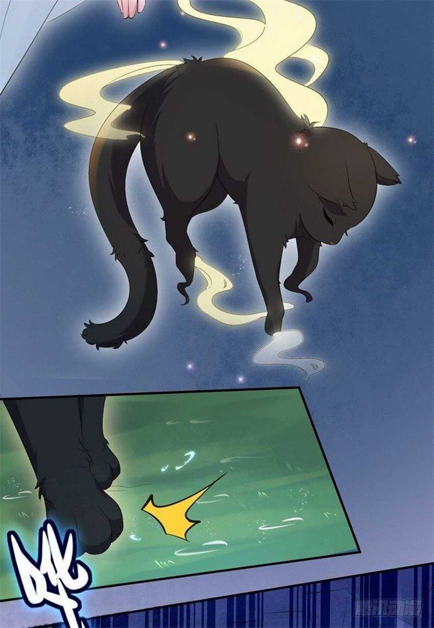 Genius Doctor: Black Belly Miss Chapter 1 Gambar 17