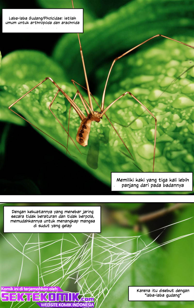 Chong Sheng – Resurrection Chapter 145 Gambar 5
