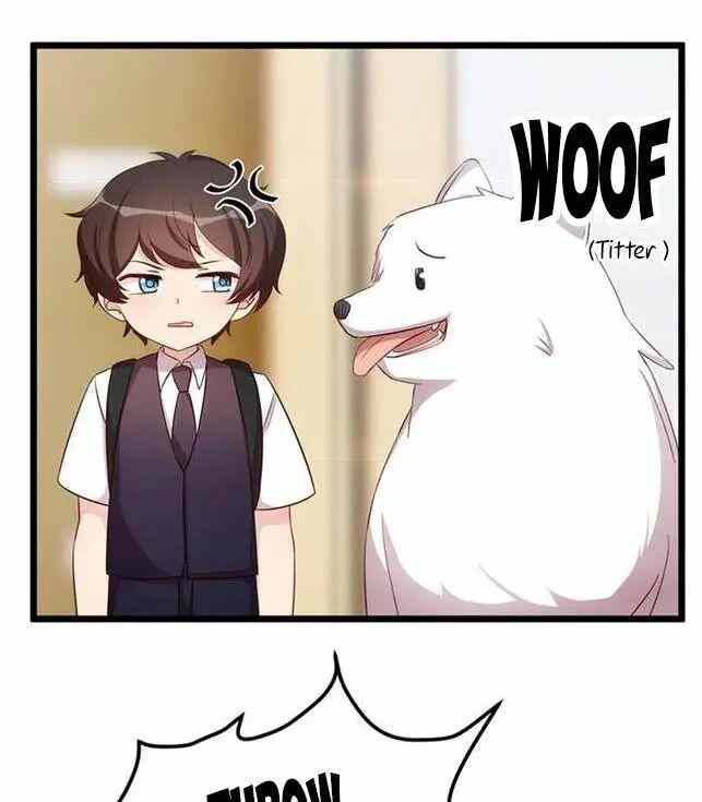 Baca Manhua CEO’s Sudden Proposal Chapter 234 Gambar 2