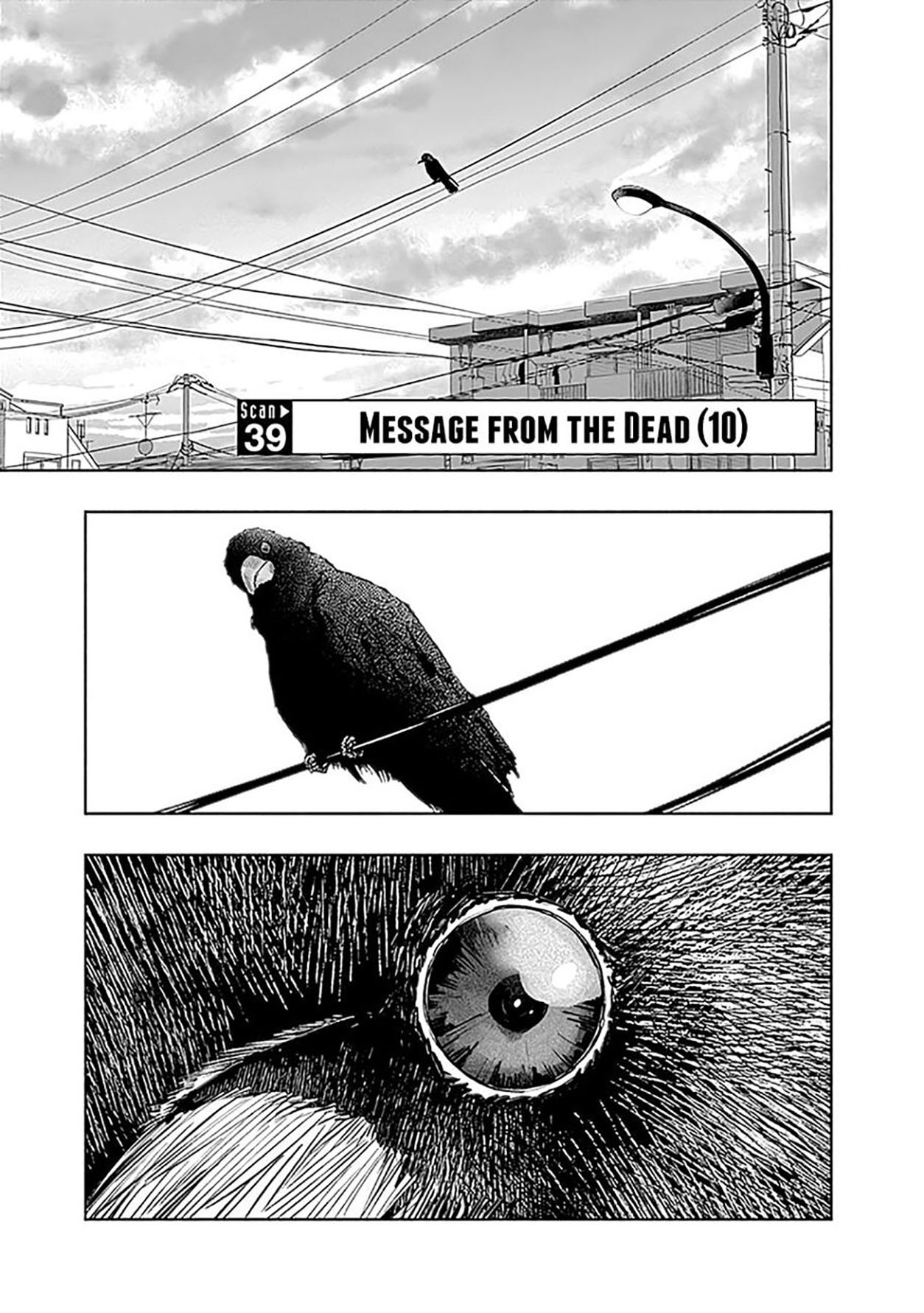 Baca Manga Radiation House Chapter 39 Gambar 2