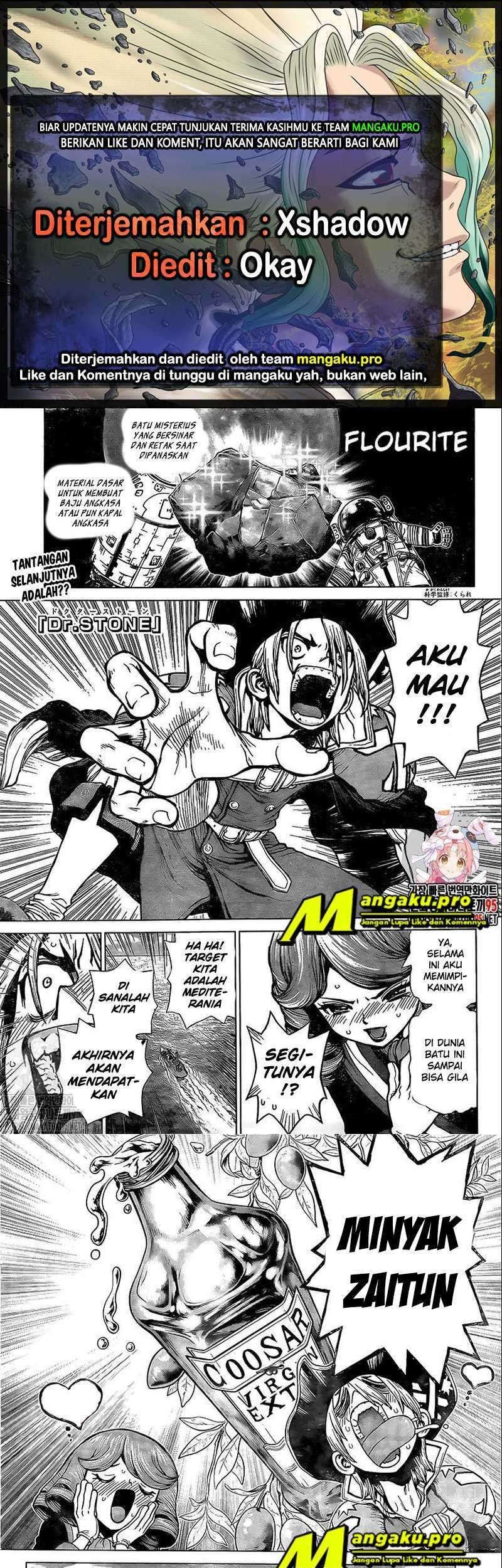 Baca Komik Dr. Stone Chapter 202 Gambar 1