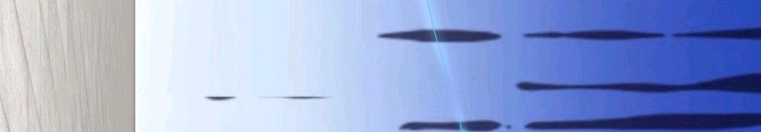 My Harem Depend on Drawing Chapter 81 Gambar 25