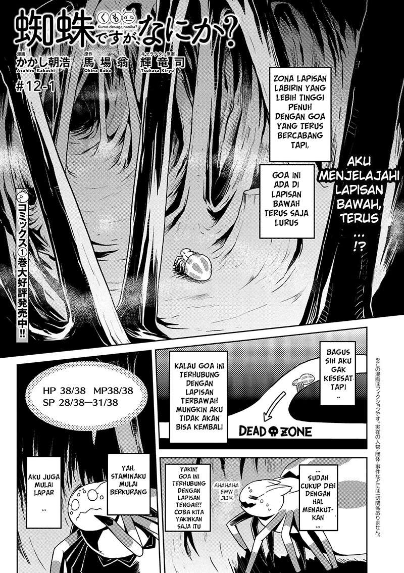 Baca Komik Kumo desu ga, Nani ka? Chapter 12.1 Gambar 1