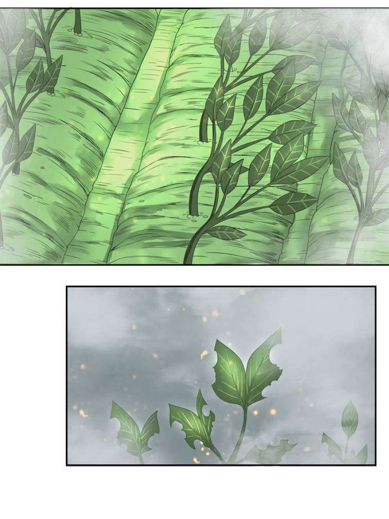 Miracle Doctor Abandoned Girl Chapter 6 Gambar 42