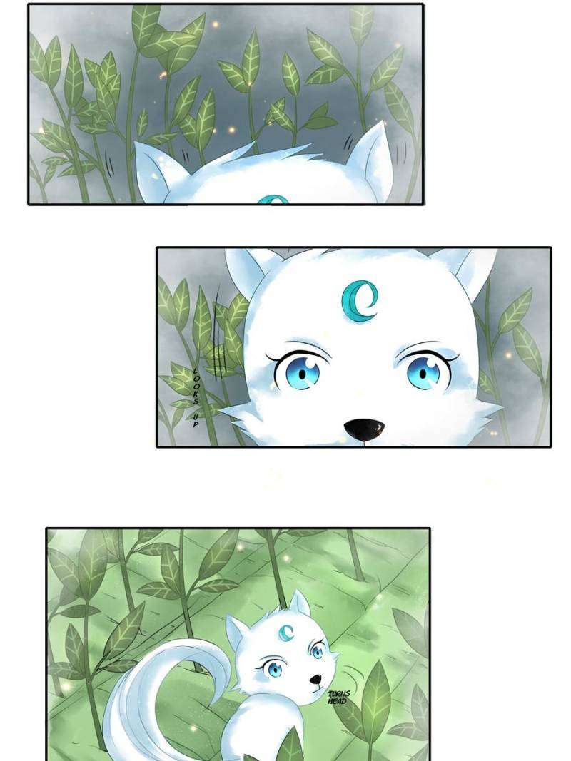 Miracle Doctor Abandoned Girl Chapter 6 Gambar 46