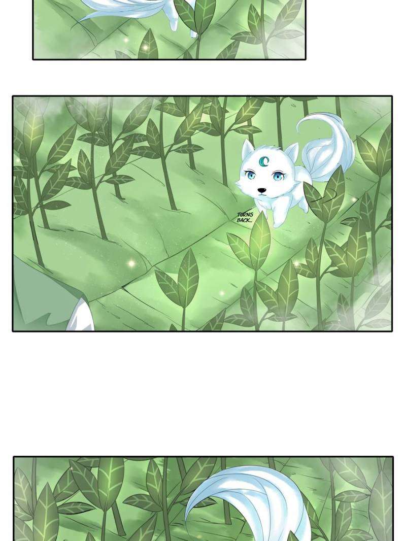 Miracle Doctor Abandoned Girl Chapter 6 Gambar 47
