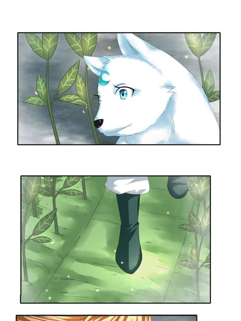Miracle Doctor Abandoned Girl Chapter 6 Gambar 49