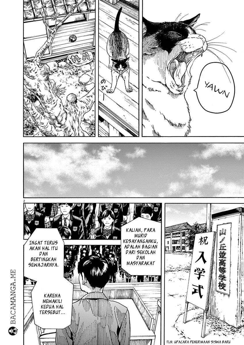 Baca Komik Neko no Otera no Chion-san Chapter 11 Gambar 1
