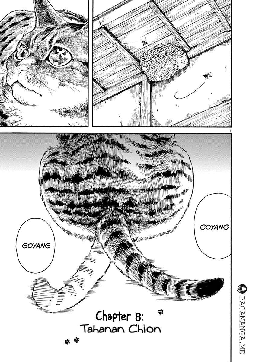 Baca Manga Neko no Otera no Chion-san Chapter 8 Gambar 2