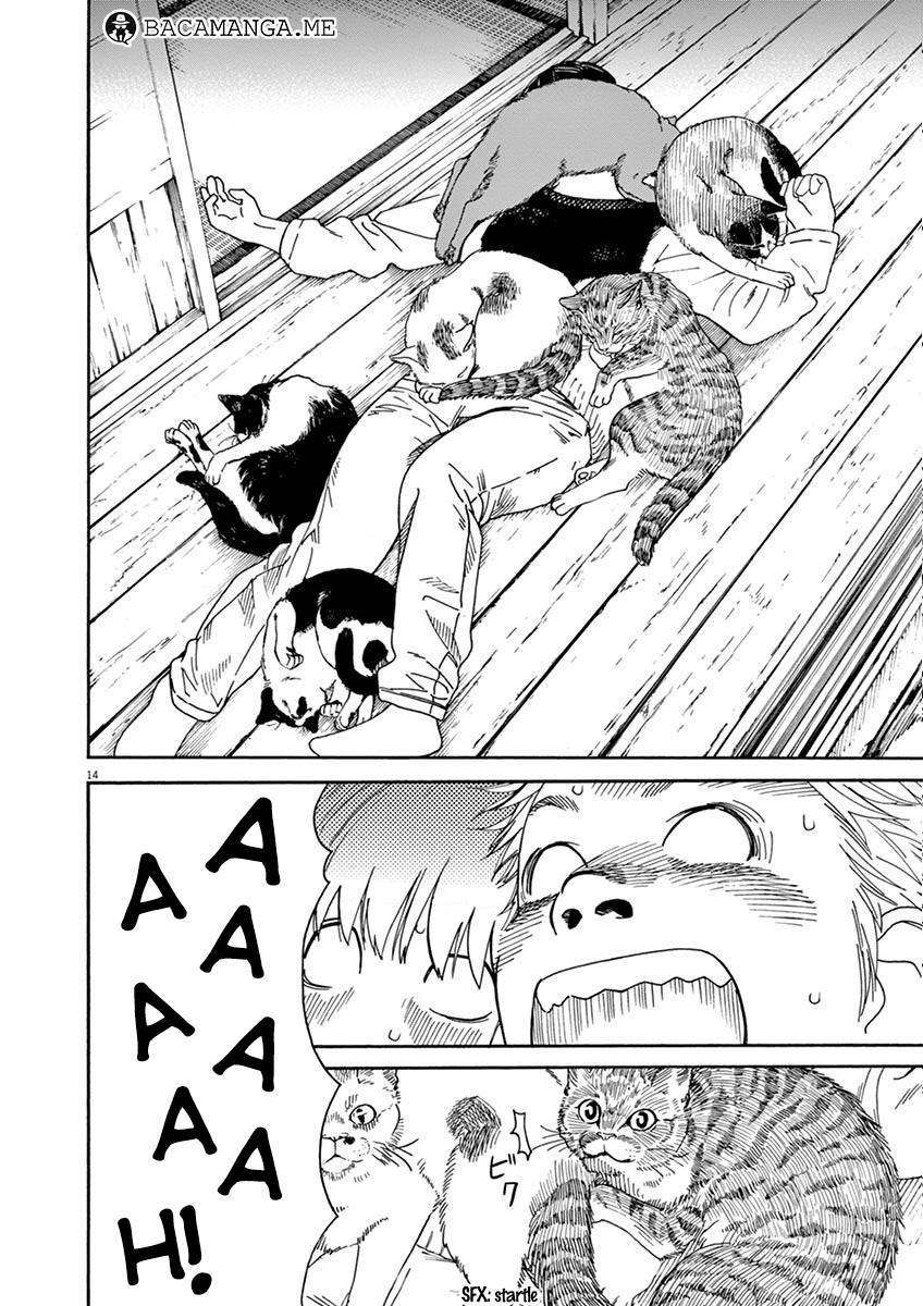 Neko no Otera no Chion-san Chapter 5 Gambar 15