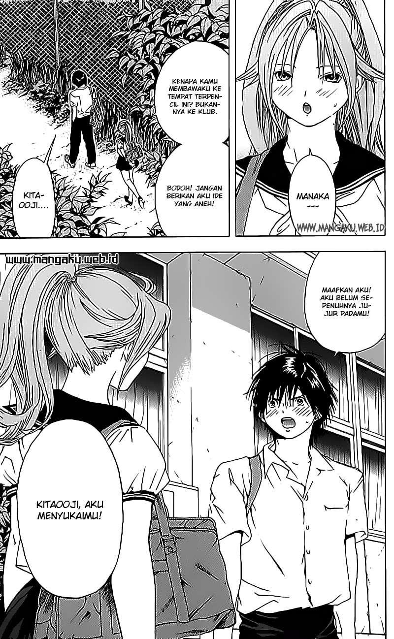 Ichigo 100% Chapter 35 Gambar 12