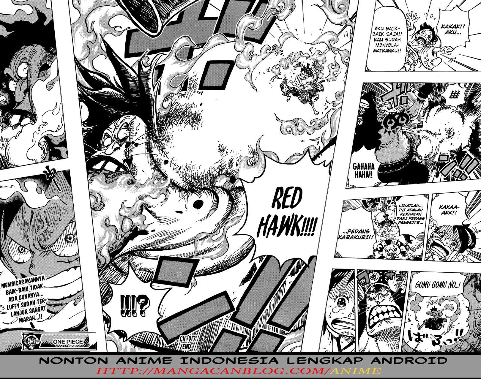 One Piece Chapter 917 Gambar 16