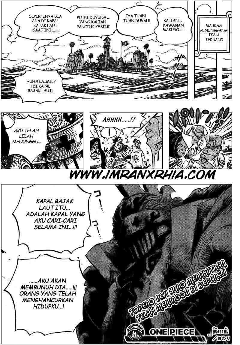 One Piece Chapter 491 Gambar 19