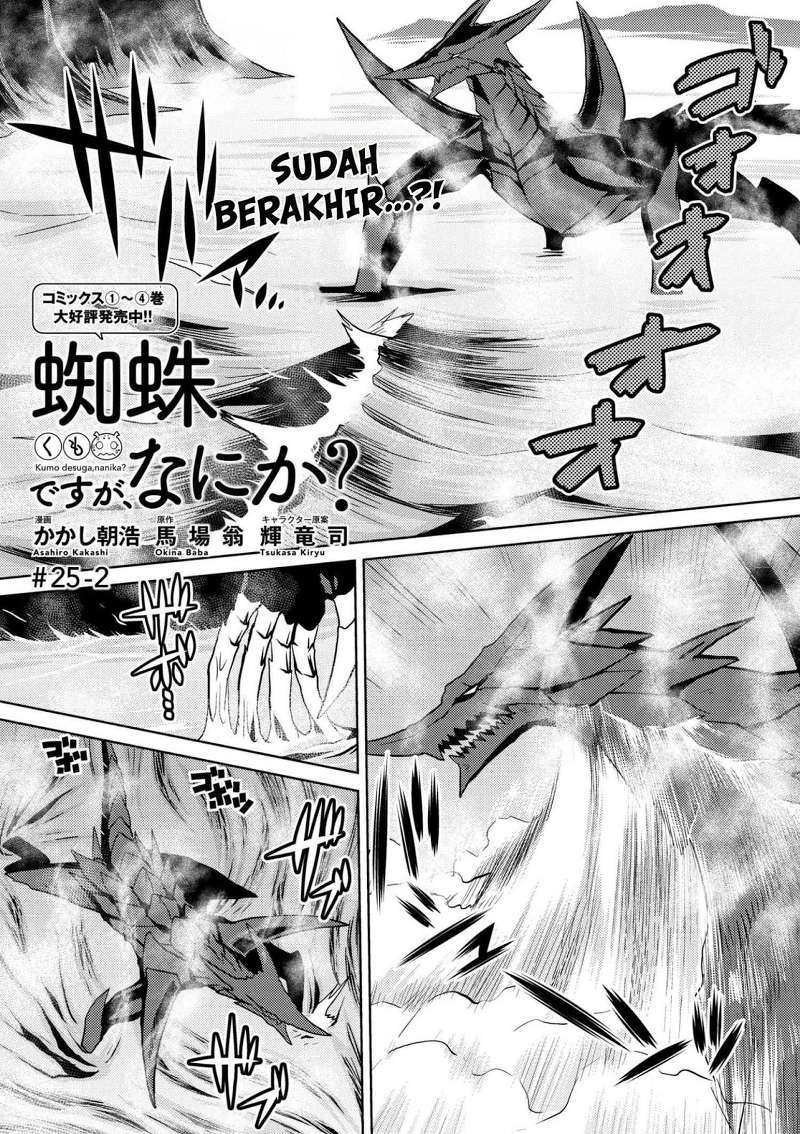 Baca Manga Kumo desu ga, Nani ka? Chapter 25.2 Gambar 2